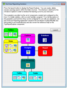 ReportBuilder Standard